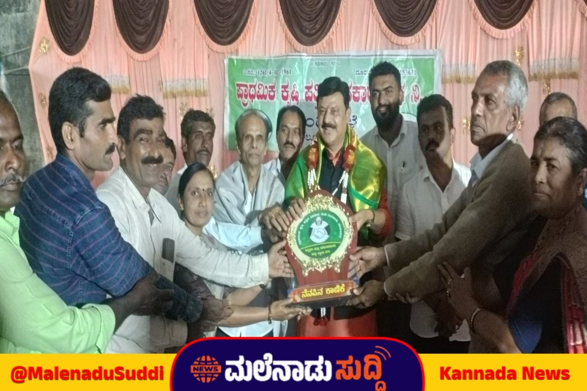 MLA