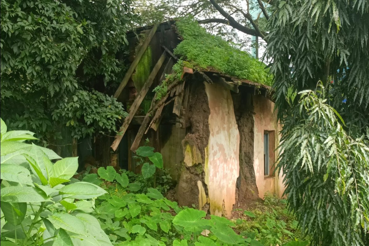 government hospital 1