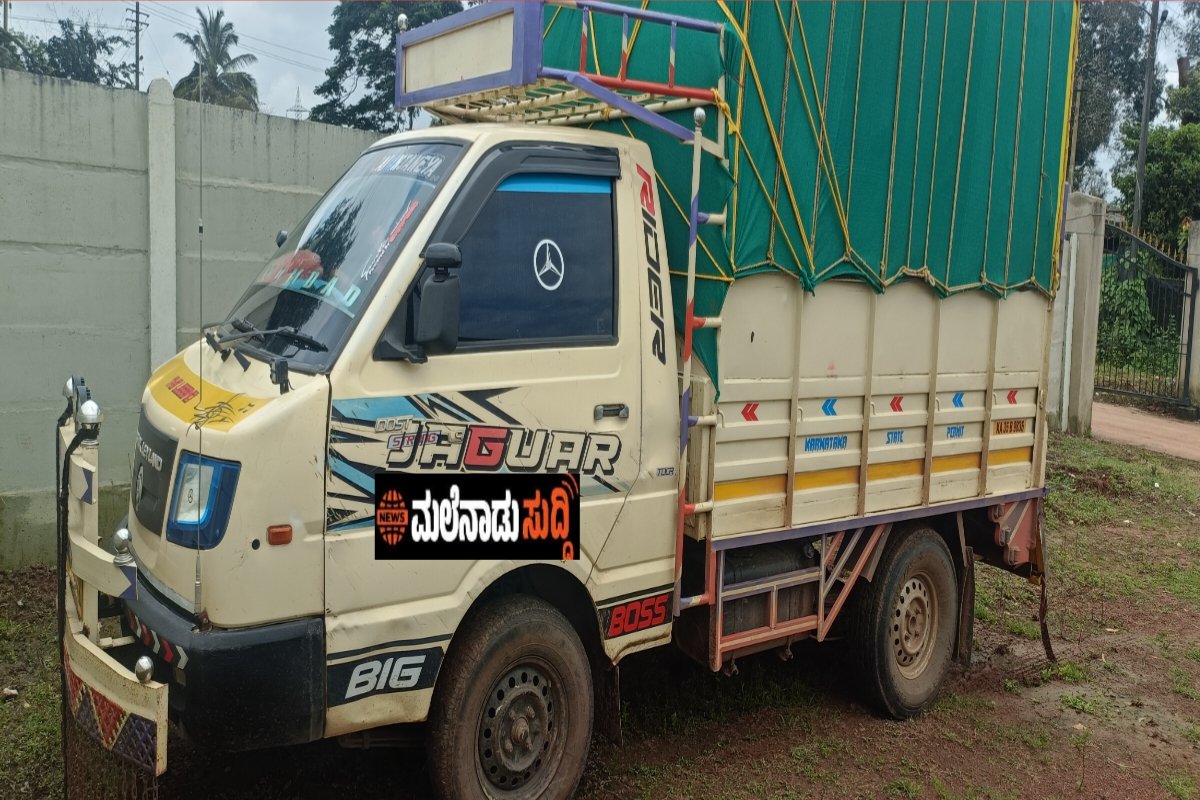 Cow smuggling